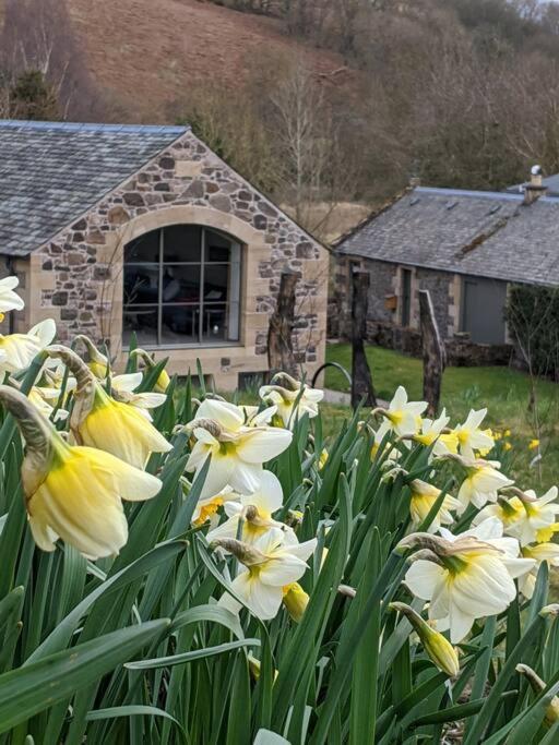 Woodmill Arches - Designer Barn Conversion For Two Lindores Exterior foto